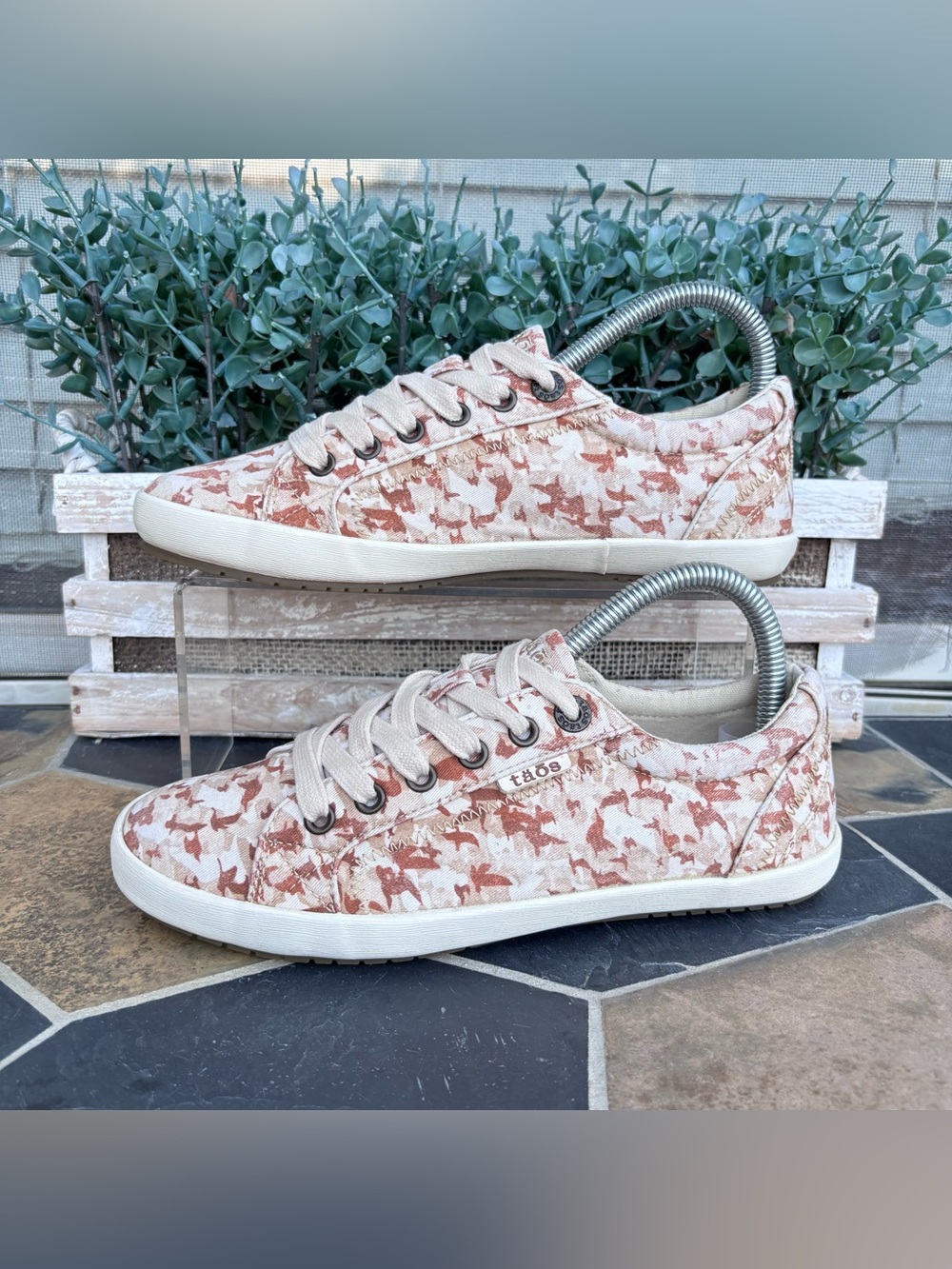Taos Star Canvas Sneakers